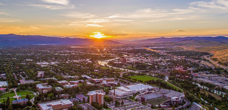 International Herpesvirus Workshop